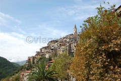 APRICALE