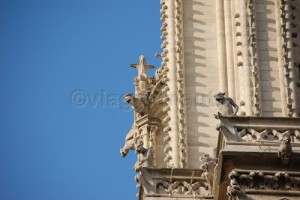 Notre Dame Parigi