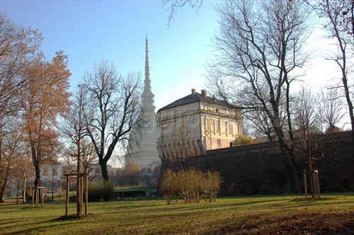 torino mole antonelliana