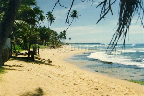 panorama sri lanka