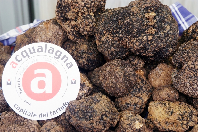 Tartufo nero estivo