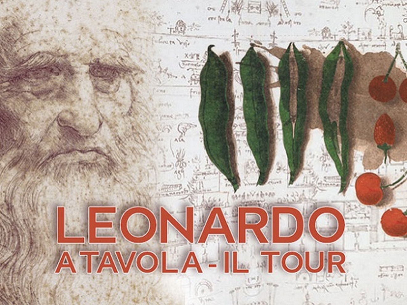 Tavola_Leonardo2_Vivatorino